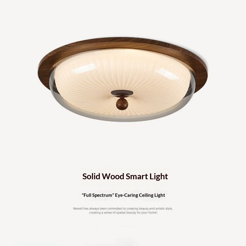 Mid Century Vintage Ceiling Li - Outdoor Lighting Mid Century Modern review and price