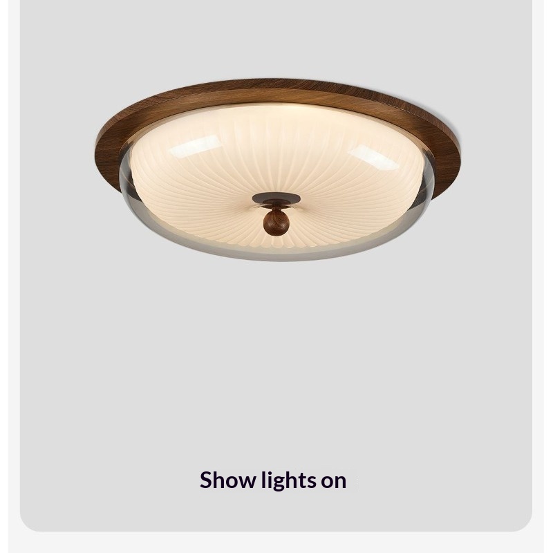 Mid Century Vintage Ceiling Li - Outdoor Lighting Mid Century Modern review and price