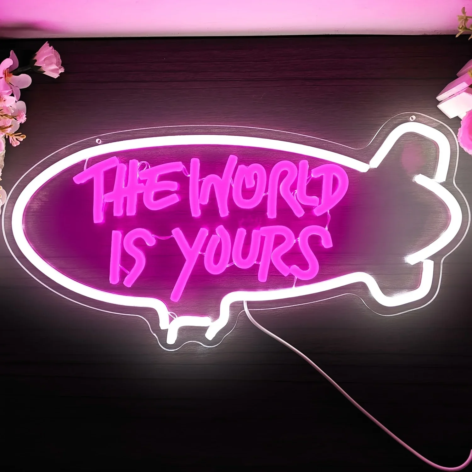 The World Is Yours Blimp Neon  - Outdoor Lighting For Your Home review and price