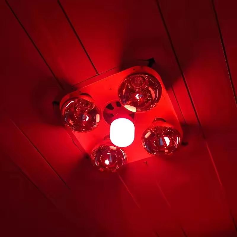 New High Power Red LED Light B - Outdoor Lighting Solar review and price