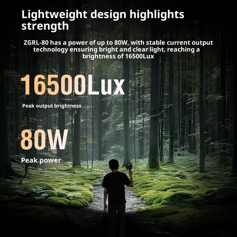 ZGRL80 80W COB LED Video Light - Outdoor Lighting For Photography review and price