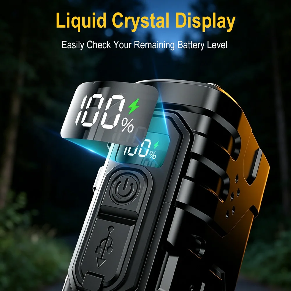 2025 NEW Philips SFL2188 LED A - Outdoor Lighting Usa review and price