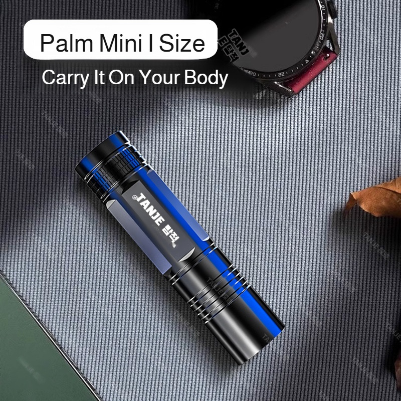 Outdoor Flashlight Small Mini  - Outdoor Lighting Usa review and price
